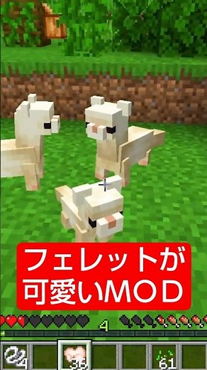 【マイクラ】可愛い生き物MOD 【フェレット】 #shorts