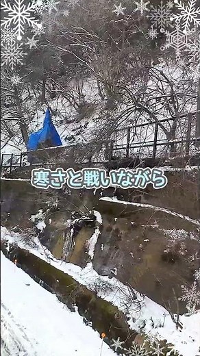 【極寒】急斜面を登る！真冬の雪山で行うボーリング調査に密着❄️ #測量会社 #建設コンサルタント #shorts