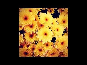 J Dilla - Enjoy (Instrumental)
