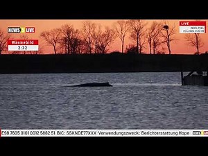 Aufzeichnung: Buckelwal "Hope" vor der Insel Poel - Tag 30 - Teil 2