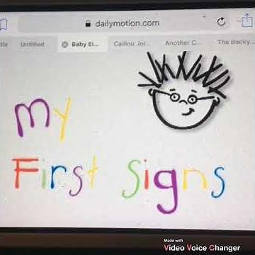 Baby Einstein My First Signs 2007 opening