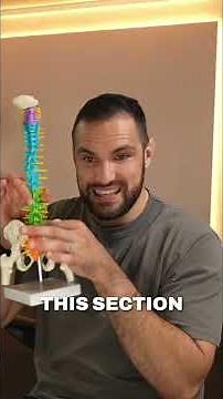 L4/L5 Pain: Where Does It Hurt? Rehab Secrets Revealed! #shorts