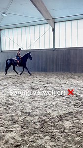 ❌ Dein Pferd verweigert Sprünge? ❌ Viele Reiter denken, Pferde entwickeln das von allein – dabei erlernen sie oftmals Ausweichmanöver durch falsche Konsequenzen bei einer Verweigerung am Sprung. 🥴 🐴 In meiner neuen Episode meiner YouTube Reihe „Vom Problempferd zum Sportpferd“, zeige ich dir, wie man so ein Pferd systematisch umtrainiert – Schritt für Schritt mit EBEC®. Du bekommst auch Tipps und Tricks gezeigt, wie du so eine Verhaltensantwort von Anfang an vermeiden kannst. 🥰 👉 Episode 3 i