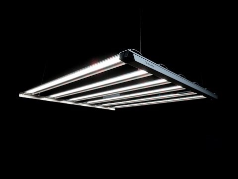 How to Grow Medicinal Cannabis Indoors | Valoya RF-Series Explained