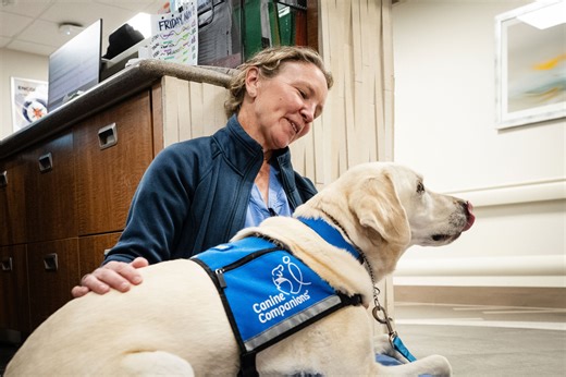 Dogs Paired With Providers at Hospitals Help Ease Staff and Patient Stress - KFF Health News