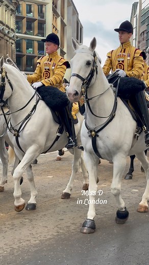 Mounted Band of the Household Cavalry and the King’s Life Guard #householdcavalry #householdcavalrymountedregiment #kingslifeguard #horseguards #drumhorse #LondonEvents | Miss D
