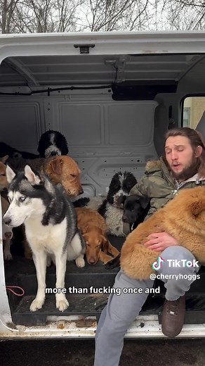 Effective Strategies to Stop Dog Barking