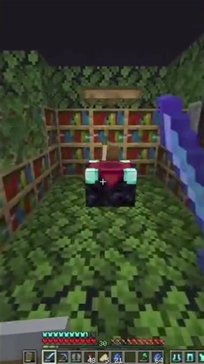 this enchantment is INSANELY rare... #minecraft