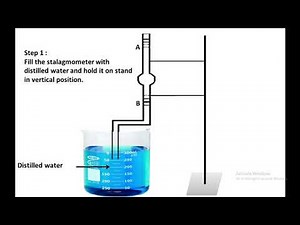 Determination of surface tension by 'Drop weight technique' using stalagmometer.