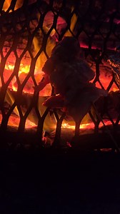 Roberto Martinez on Reels