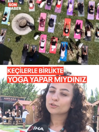 Ankara'da yoga etkinliklerinde değişiklik, farklılık isteyen bir grup kadın cüce keçilerle birlikte yoga yaptı. #keçi #yoga #spor