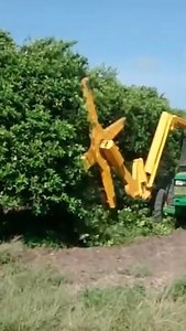 Crazy machine | Friendly machines