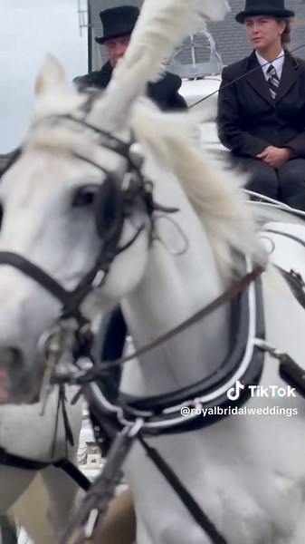Royal Bridal Weddings 360 Boot (@royalbridalweddings)’s videos with original sound - Royal Bridal Weddings 360 Boot