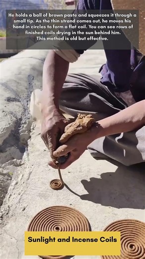 Sunlight and Incense Coils