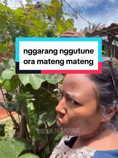 Nandur Nganggarang: Kuliner Tradisional India Ngapak