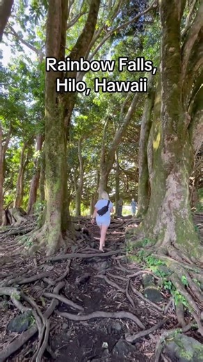 Rainbow Falls, Hilo, Hawaii 🌈