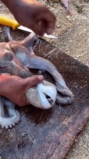 How Fresh Octopus Is Cleaned & Prepared | Amazing Seafood Preparation Skills