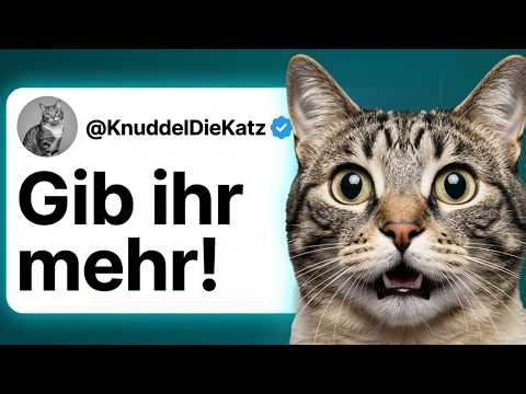What 8 out of 10 cats secretly lack