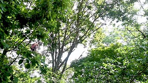 7.7K views · 14 reactions | Put some pants on. It’s time to ditch those virtual backgrounds for the safe, wide-open spaces of Central KY. Learn more at sharethelex.com/lexington-is-a-safe-bet-for-travel | Visit LEX | Facebook