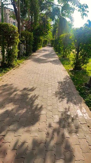 #shorts #viral #love #song #minecraft #memes #pets #dog #movie #motivation #sad #success