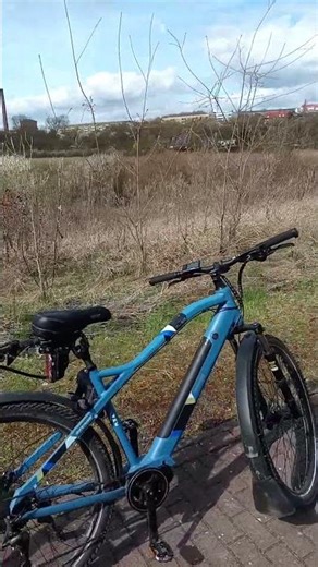 Shopping with an e-bike and cargo trailer, already in April, time flies! #cargotrailer #ebike