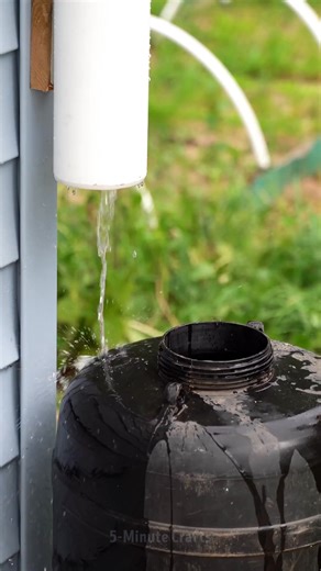 Unlock new possibilities for your home with backyard hacks! 👍 | 5-Minute Crafts GIRLY