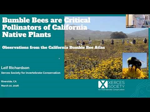 Dr. Leif Richardson: California Bumble Bee Atlas: Community Science for Native Bee Conservation
