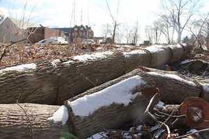 Worker Hurt in Chainsaw Accident