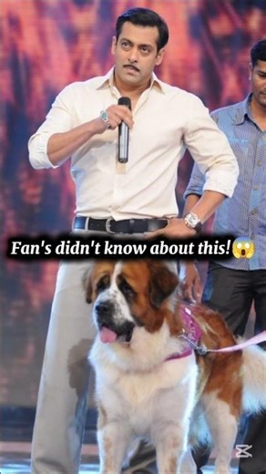 Secrets & Luxury Life of Salman Khan!😱 #salmankhan #bollywood