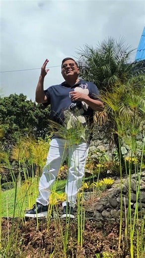 #segundorosero #tuserasparami #rockolas #boleros #amor #tuyyo #pasillos