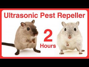 Pest repellent noise Powerful ultrasonic waves deter mice | 2 Hours