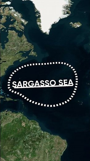 Know about the "Sargasso Sagar" #upsc #unacademyshorts