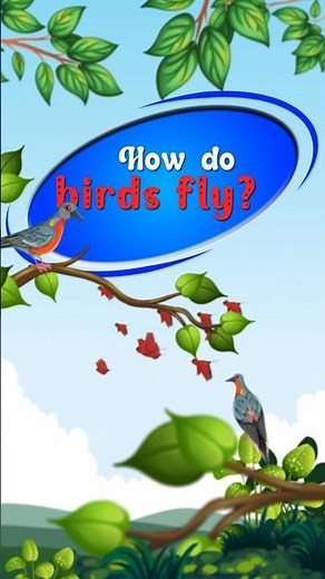 How Do Birds Fly? Flying Mechanism Of Birds!! @runaikids