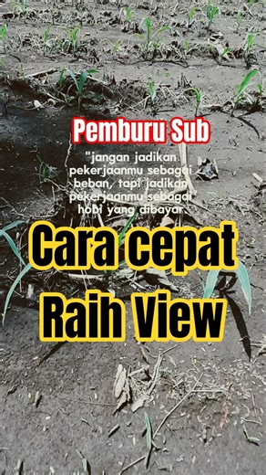 Cara Cepat Raih View | pemburu sub #penyuluhpertanian #ppl #diseminasi