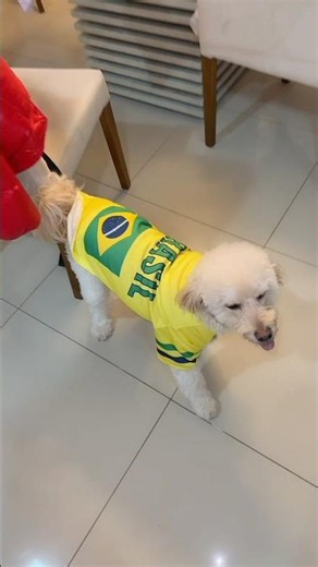 SLINK GANHOU UMA BLUSA DO BRASIL