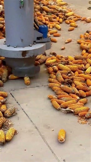 Wind Suction Corn Thresher Machine – High Speed Grain Separation