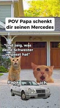 Folgt für mehr 😂#katze #katzen #katzenvideos