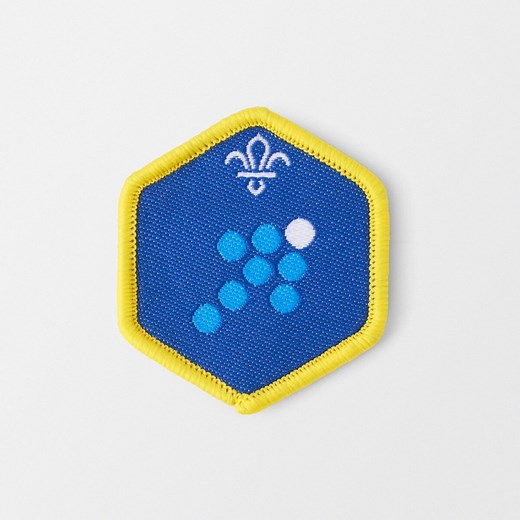 Cub Scout Team Leader Challenge Award Badge