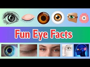 Parts of the Eye for Kids | Fun Eye Facts | Fun Eye Parts Table Explained | Kids Science Lesson