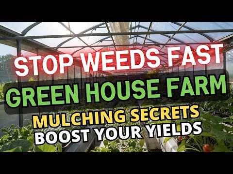 Mulching Explained 🌱 How to Increase Yield & Stop Weeds Naturally