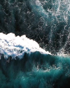 We caught up with Adam Barralet – Australian Founder & Blue Diamond Leader, who expressed his anticipation for our upcoming dōTERRA beyond Convention 2024! Listen in as Adam reveals why you won't want to miss out on attending this year.​ 📍Where? The Star Gold Coast, Queensland​ ⏰ When? Thursday 25 July – Saturday 27 July 2024​ Don't miss out! Tickets are on sale now - https://brnw.ch/21wJRn4 P.S. Get ready for a night to remember at the Gala Masquerade 🎭 Thursday 25 July at 6:30 pm!​ Welcome e