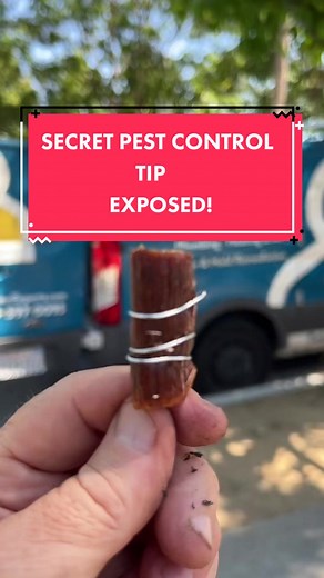 SECRET RAT EXTERMINATION TIP, most pest controllers don’t EVEN know! #pestcontrolservice #homeowners #ratextermination #rats