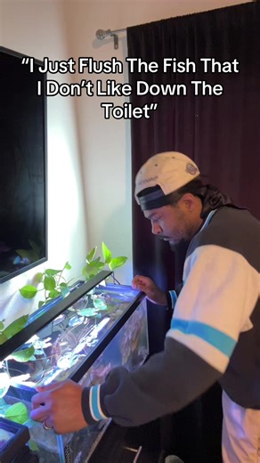 Understanding Aquarium Criticism: Fish Care Conversations
