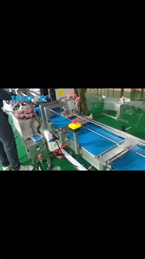 Fruits cherry clamshell packing machine - smartweigh #machine #packingmachine