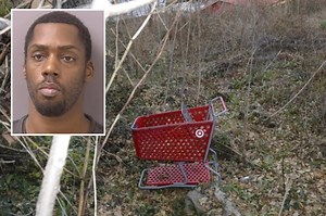 Virginia serial killer 'shopping cart killer' in custody after 4 bodies found