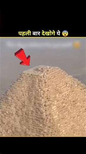 A Dog Climbed The Pyramid 🤯 || #shorts #facts #factoholic