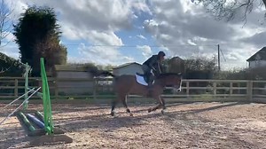Practice makes progress 💪🏼 Todays work outs enjoying the ☀️ Can anyone name the horse 🐴 and the assistant? 🐶 Squishy pole 3 yards to first jump.. 7 yards to next one. Built a yard shorter than at a show to teach the horse to rock back and use themselves. The V poles help with straightness and focus on the jump 🤓 | Jump Elite