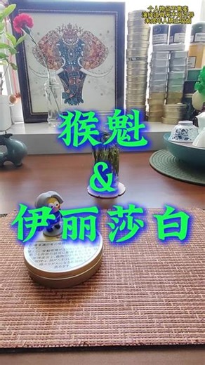 5月8-11日 第32集 猴魁 配 伊丽莎白 大家口粮是什么茶？什么草？#猴魁 #伊丽莎白 #口粮茶 #男人的快乐就是这么简单