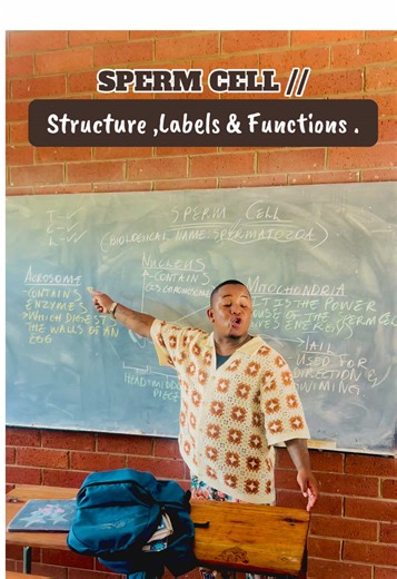 Understanding Sperm Cells: Structure, Labels & Functions