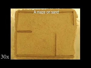 "Brainless" autonomous soft robotic maze escaper